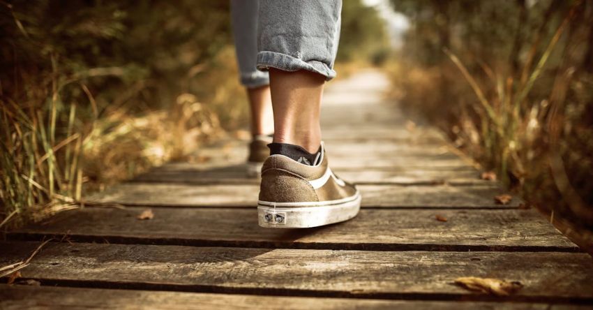 Walk - Person Stands on Brown Pathway