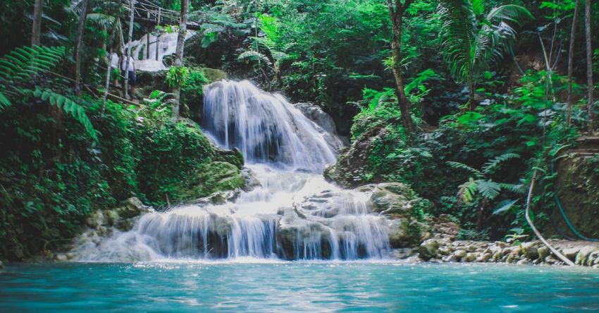 Waterfalls - Photography Of Waterfalls Between Trees